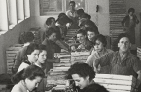 solidarieta